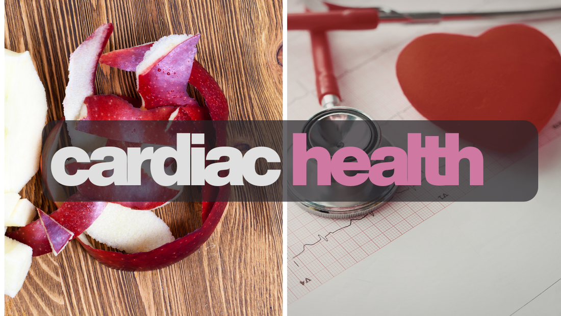 Bringing the Science Home: Natural Dietary Fibres and Chronic Disease Prevention