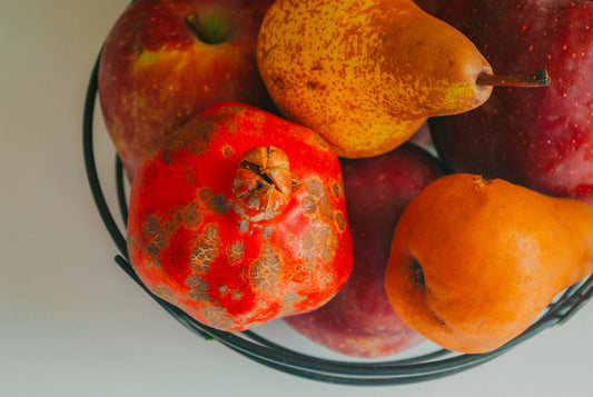 food waste